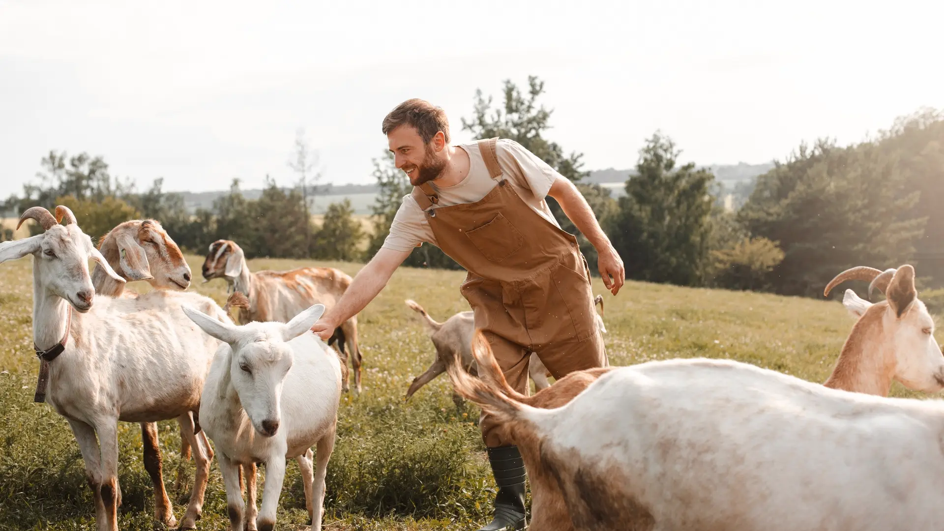Ensemble pour le bien-être animal